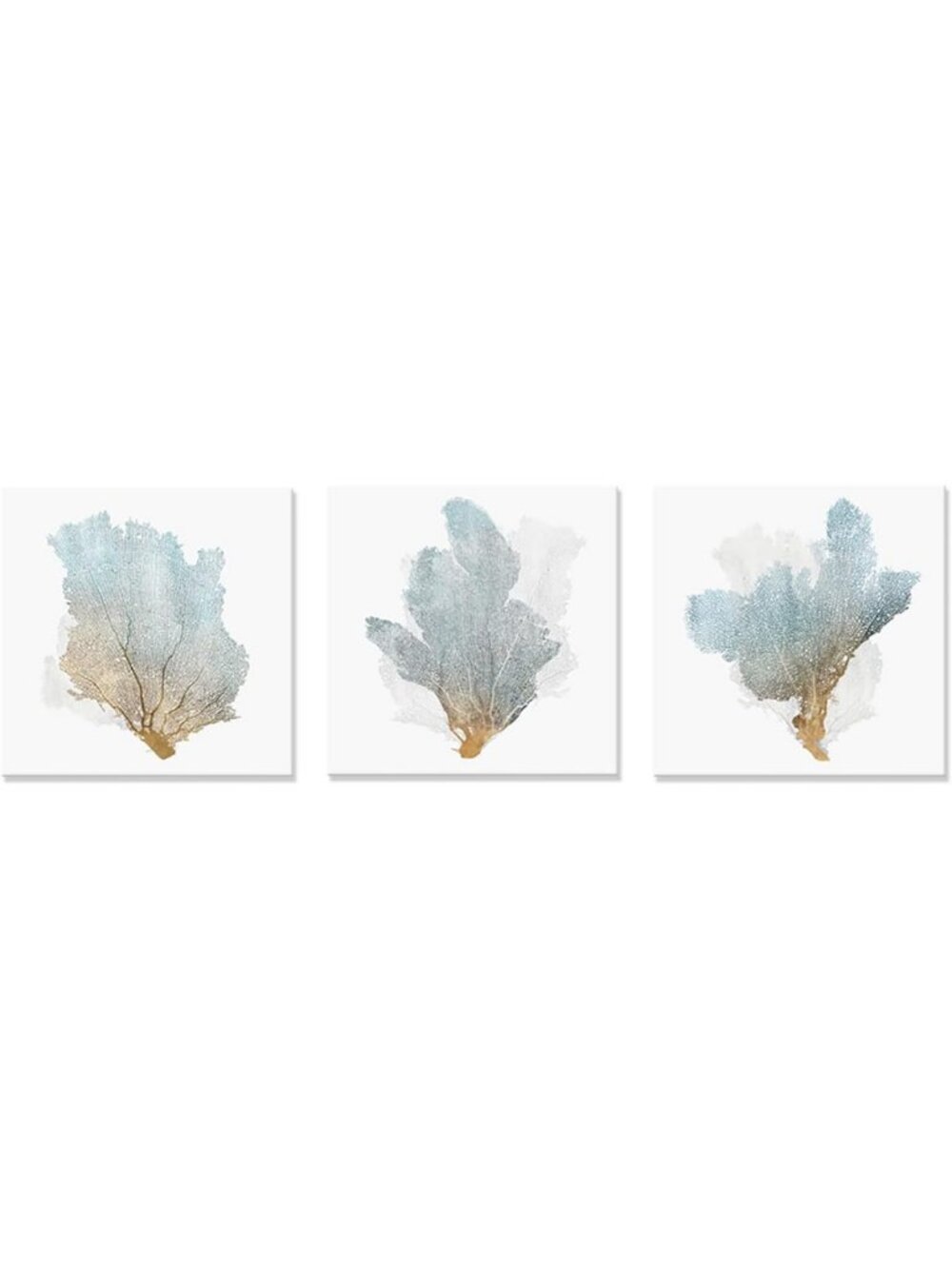 Delicate Coral Wall Decor Set - Coastal Framed Art for Bedroom & Bathroom